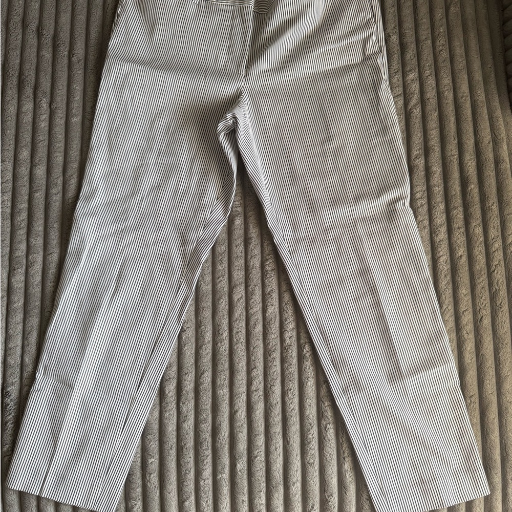 Talbot's Hampshire Women’s Pants- Teatime Stripe Size 6 Petite - Picture 3 of 8